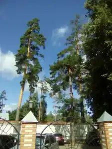 Белое Озеро - 59