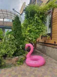 фламинго - 2