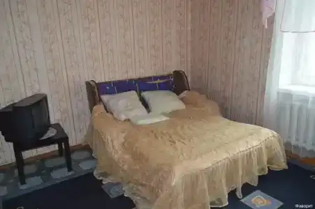 Фаворит - 13