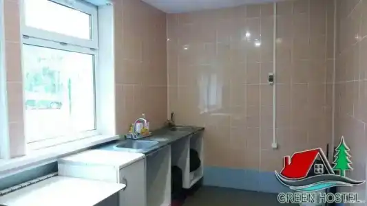 Зеленый бор - 13