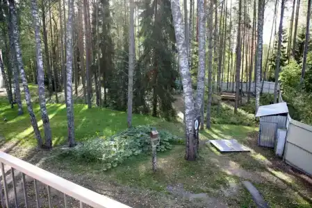 Трест грии - 19