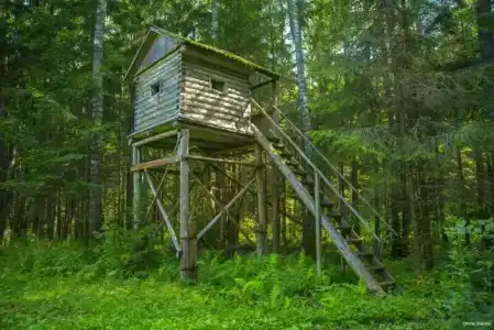 Хантер - 5