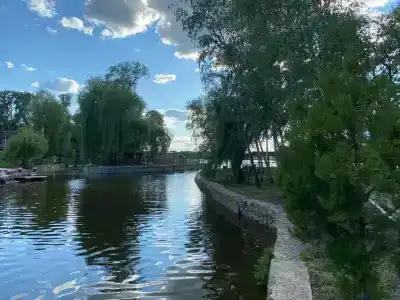 Березка - 11