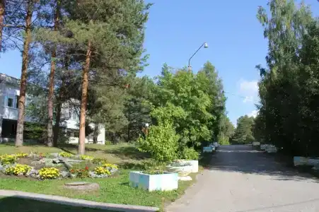 Лозым - 6