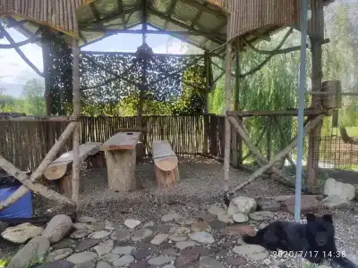 Ширванкаlife - 15