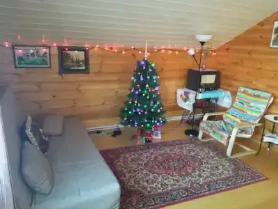 Эко-дом у реки - 30