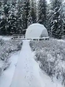 Снежный барс - 31