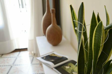 Residencial Terra de Mar - 21