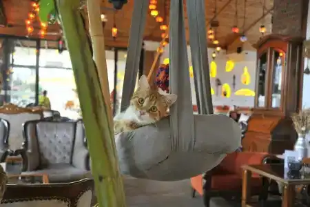 nİSh Carİa Boutique - 25