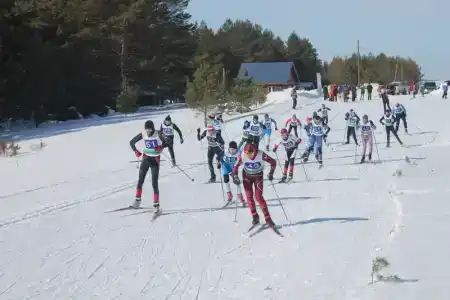 Метальниково Горка - 4