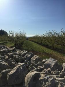 Masseria Gravelle - 28