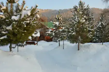 Иолго - 1