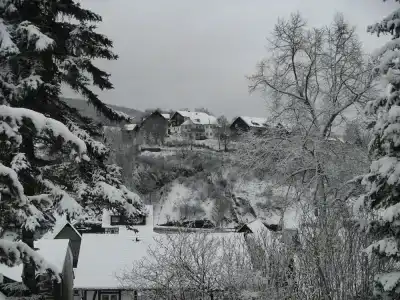 Sonneneck - 12