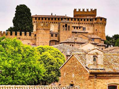 Cavalluccio Marino - 3