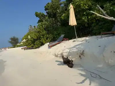 Avani+ Fares Maldives Resort - 49