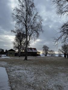 Кемский берег - 9