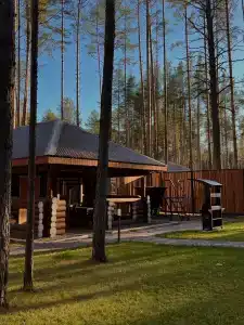 Сосновый бор - 19