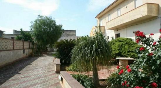 La Mimosa Case Vacanze - 2