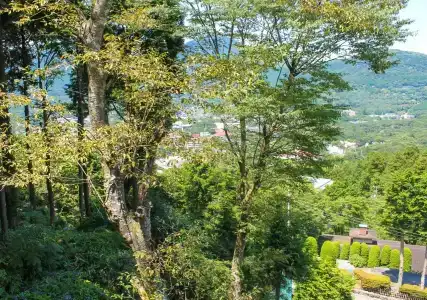 Livemax Resort Hakone-Sengokuhara - 20