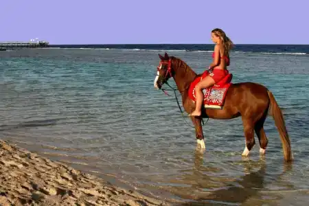 LTI Akassia Beach - 14