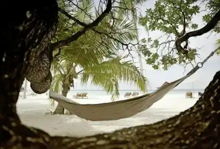 lti Maafushivaru Maldives - 17