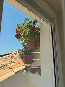 La Dolce Vita a Tropea - 9