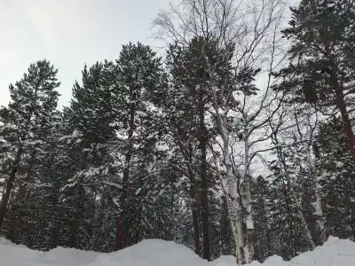 Кольский - 37