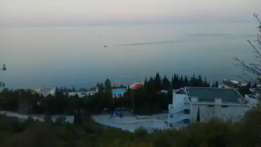 Дружба - 33