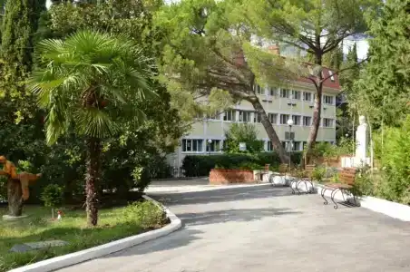 Кипарис - 66