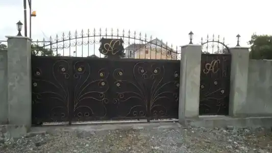 АлиСер - 1