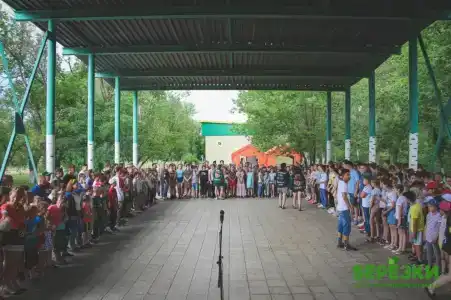 Березки - 0