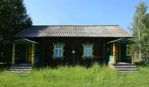 Подсолнухи - 6