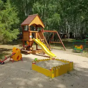 Березка - 41