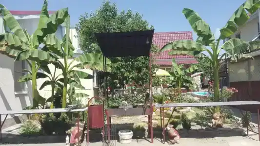 Райский уголок - 4