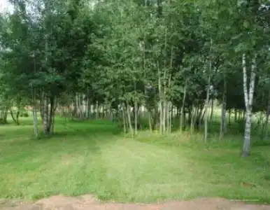 Емельяново - 81