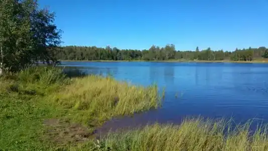 Емельяново - 76