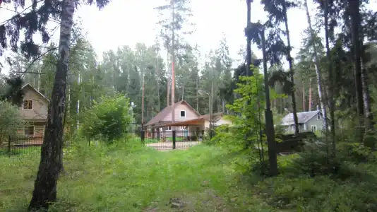 Лесной Родник - 31