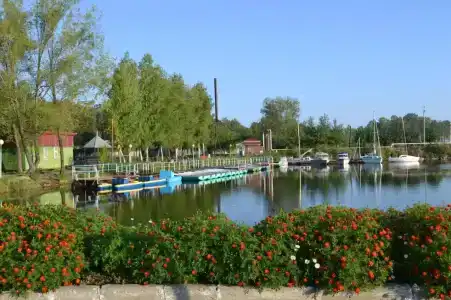 Лесное озеро - 2