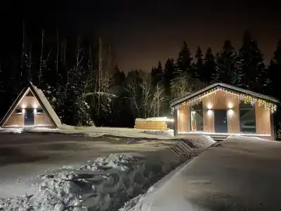 Хвойный Лес - 51