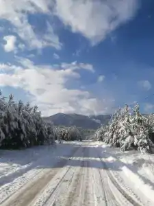 Чикмарёвых - 13
