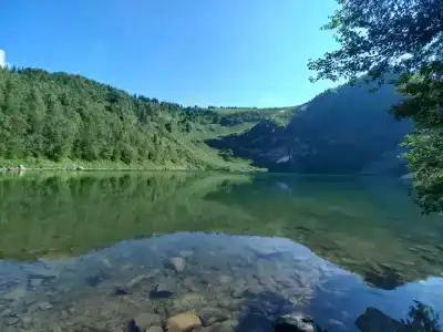 Лесная - 17