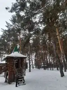 Мечетлинский - 18