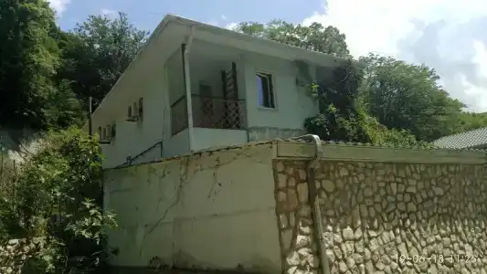 Инжир - 31