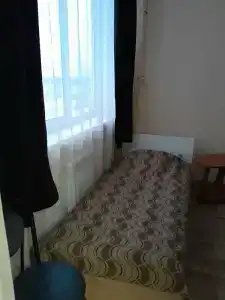 Сова - 13
