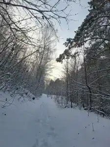 Мечта - 48