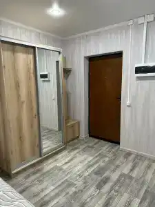 Спутник - 19