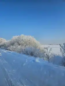 7 Суббот - 33