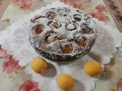 София - 12