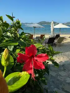 Comodo Nha Trang - 32