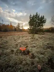 Варяг - 18